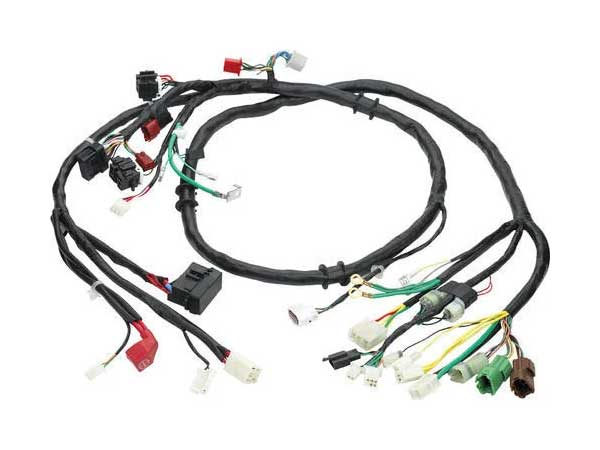 Two Wheeler Wiring Harness